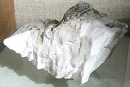 白硼钙石1268