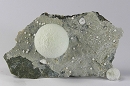 纤菱镁矿/水纤菱镁石6728