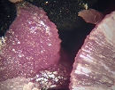 红磷铁矿2513