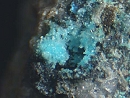 羟硫硅铜锌石76
