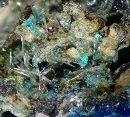 羟硫硅铜锌石99