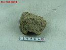 黑云母花岗岩,Biotite granite,花岗岩,Granite