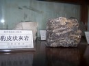 豹皮状灰岩,leopard limestone,石灰岩,Limestone