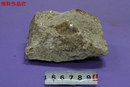 细粒伟晶岩,Fine grain pegmatite,伟晶岩,Pegmatite