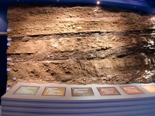 化石群形成年代立体剖面图