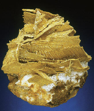 Herringbone leaves of gold. Size 7 cm. Private coll. J. Scovil photo.