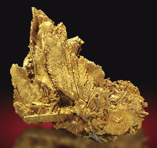 Herringbone leaves of gold. Size 5 cm. Miner’s Lunchbox specimen. J. Callen photo.