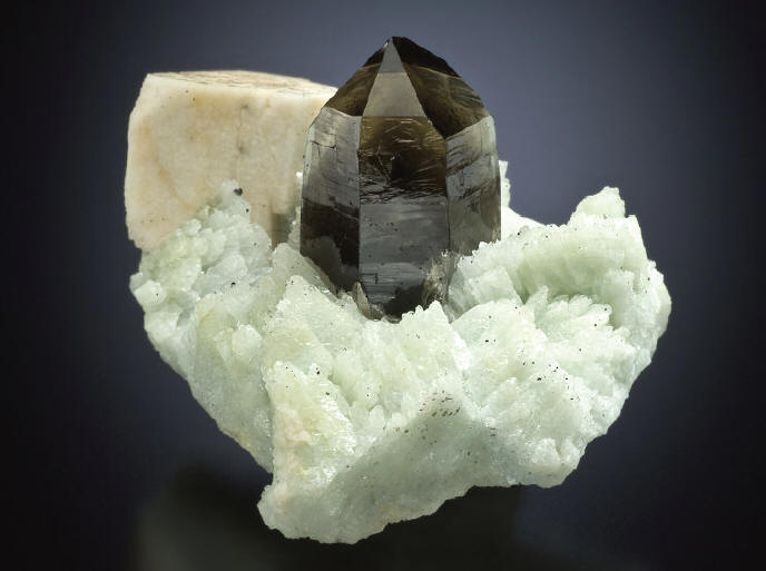 Classic Strezgom paragensis – smoky quartz, albite and microcline, 4 cm high. Andrzej’s Pocket. J. Gajowniczek collection. J. Scovil photo.