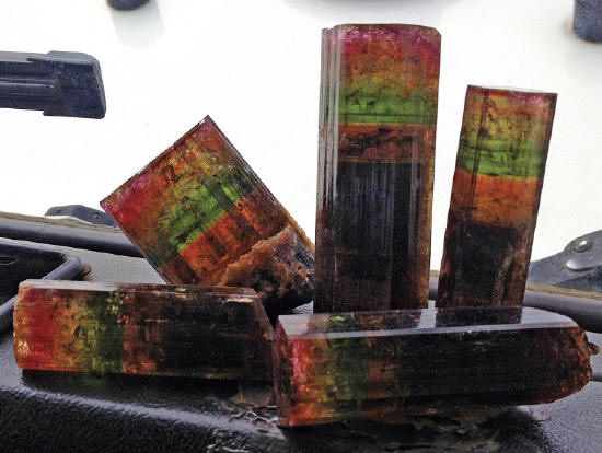 Group of multicolored liddicoatite crystals photographed on the front of the car right after they were collected in the mine. F. Pezzotta photo.