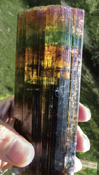 Big, gemmy multicolor liddicoatite crystal from the find, weight 530g. K. Neumann collection and photo.