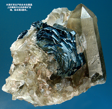 赤铁矿伴生墨晶、茶晶、烟晶　“旋拧水晶”与“串连水晶”—四川西南部凉山木里