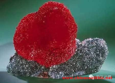 著名的蜗牛菱锰矿标本是世界闻名的矿物标本之一 