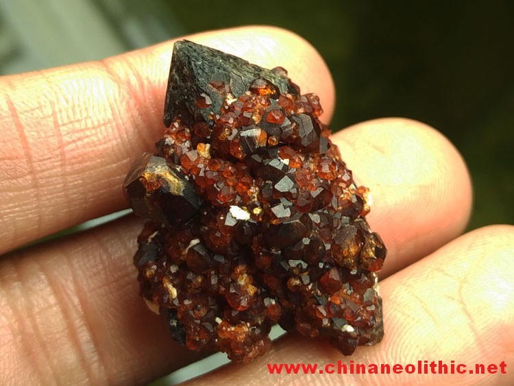 酒红色锰铝石榴石和水晶共生矿物晶体标本宝石原石原矿,