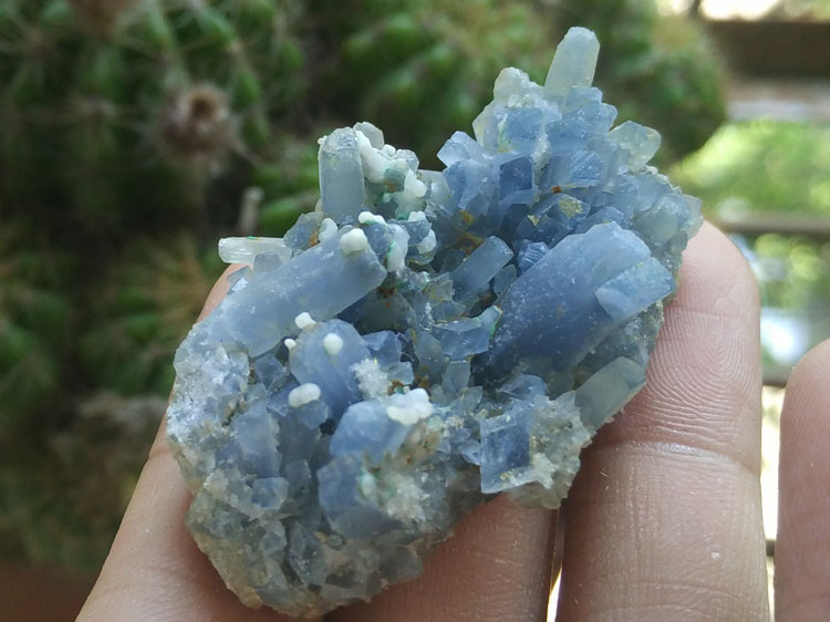 云南新出的蓝色重晶石共白色未知矿物晶体标本原石原矿,重晶石
