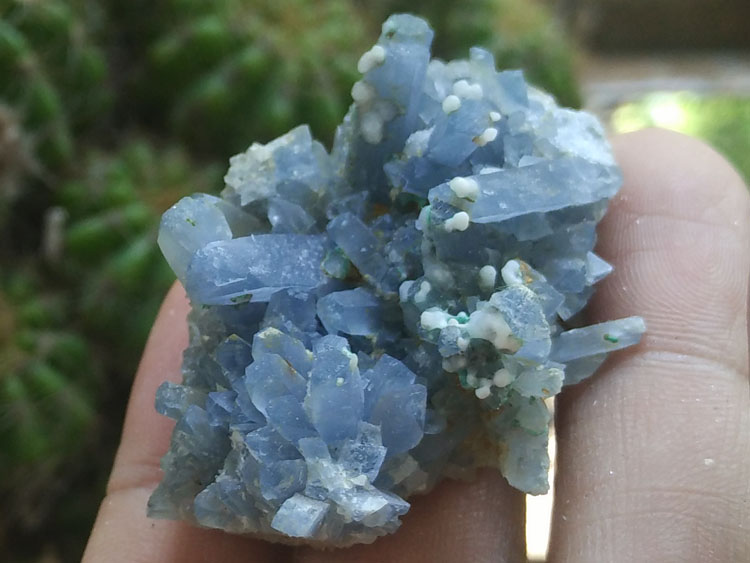 云南新出的蓝色重晶石共白色未知矿物晶体标本原石原矿,重晶石