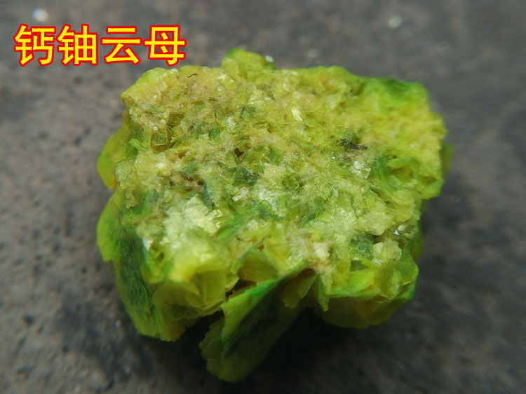 国内罕见的钙铀云母绿色云母原石矿物标本矿石,钙铀云母