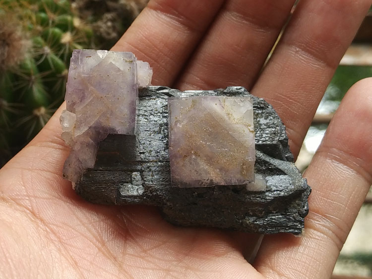 浮生黑钨两边挂着紫色萤石和水晶共生矿物晶体标本原石原矿观赏石,黑钨,萤石