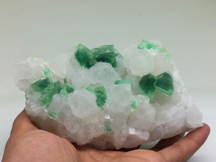 幻影深绿八面体萤石和白色水晶共生矿物晶体标本宝石原石原矿,萤石,水晶