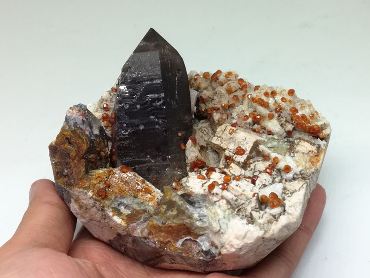 茶晶黑水晶共生锰铝石榴石芬达石矿物晶体标本宝石原石原矿茶晶,石榴石,水晶