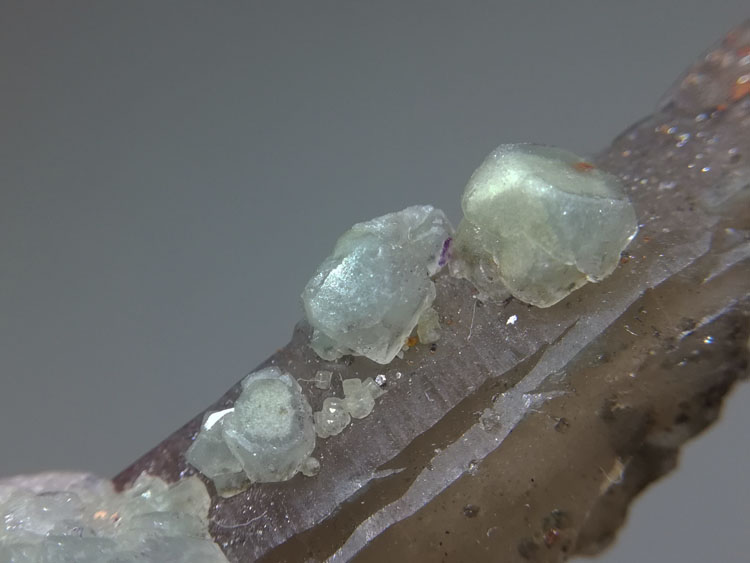 福建新出的浮生绿色晶体未知不明矿物和茶晶烟晶共生矿物晶体标本,水晶