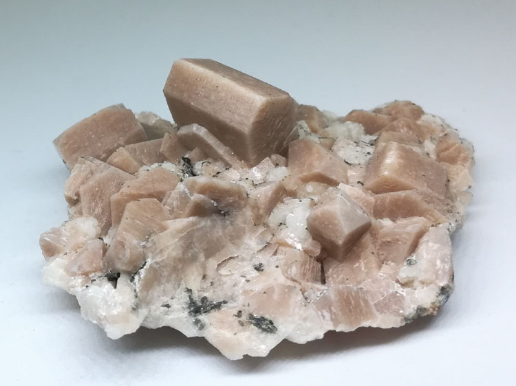 钾长石双晶和钠长石共生矿物标本晶体宝石原石原矿原料,长石