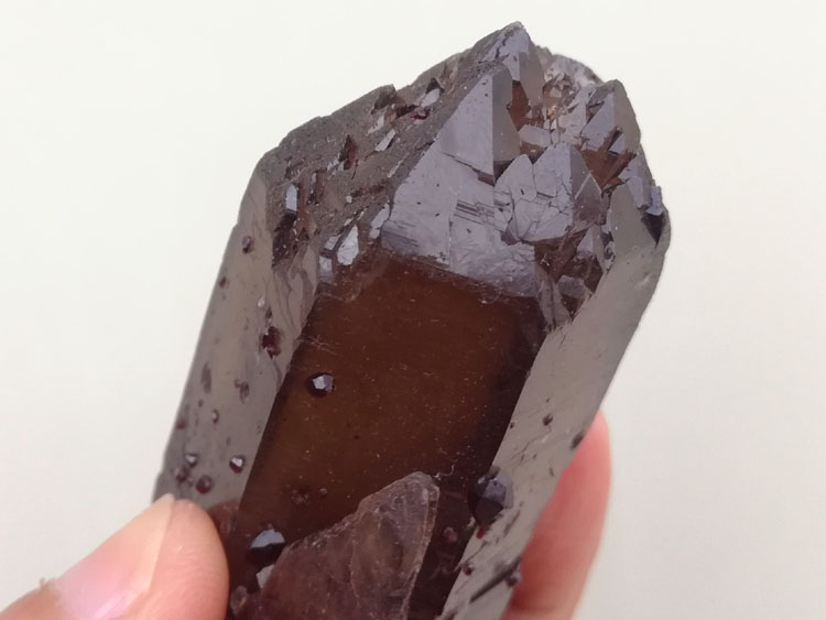 石榴石和黑水晶茶色水晶茶晶烟晶共生矿物标本晶体宝石原石原矿,水晶,石榴石