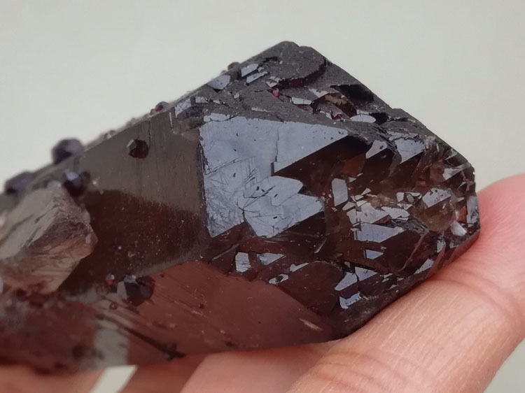石榴石和黑水晶茶色水晶茶晶烟晶共生矿物标本晶体宝石原石原矿,水晶,石榴石