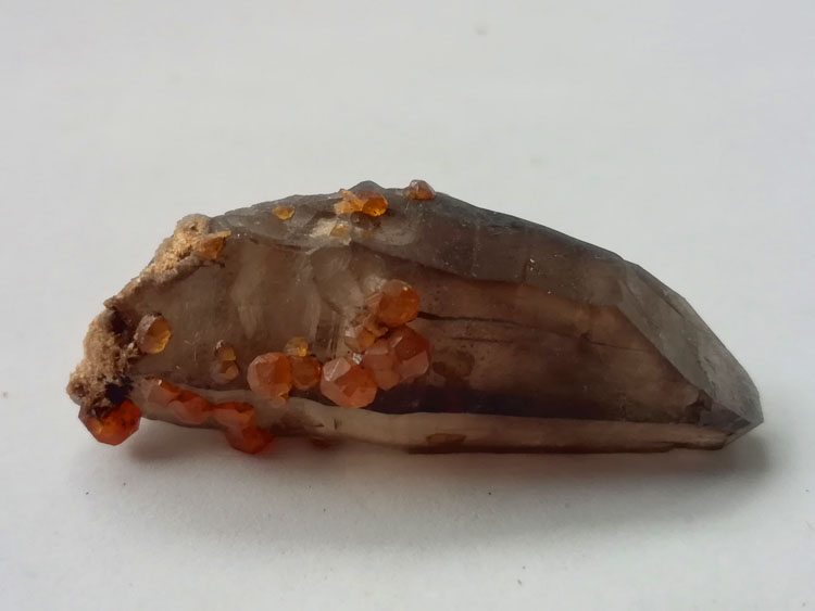 橙红色锰铝石榴石芬达石烟晶共生包裹体矿物标本晶体宝石原石原矿,石榴石,水晶