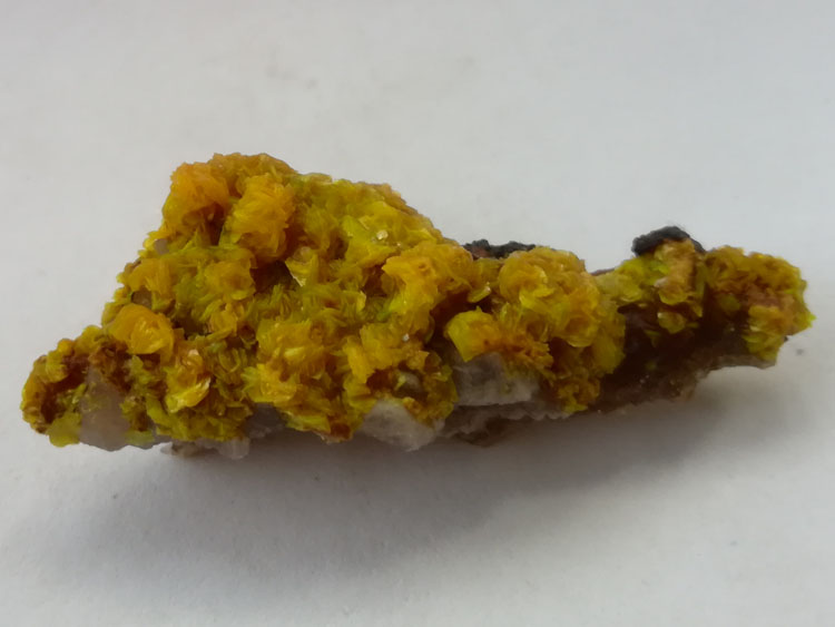 国内罕见的钙铀云母原石矿物标本矿石,钙铀云母
