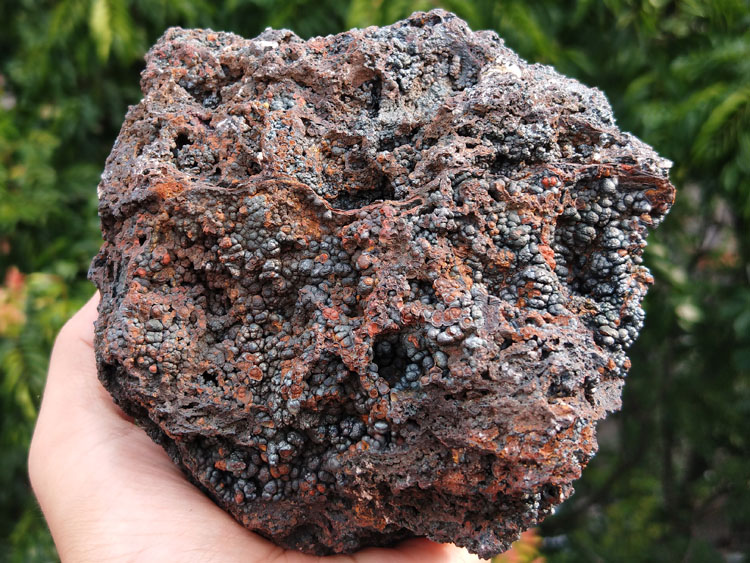 新出球状褐铁矿赤铁矿矿物标本晶体晶簇宝石原石原矿石能量石摆件