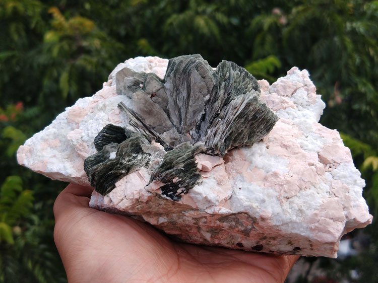 Mica Microcline Albite  Feldspar Manganese-aluminum Garnet Spessartine Mineral Specimens Mineral,Mica,Feldspar,Garnet