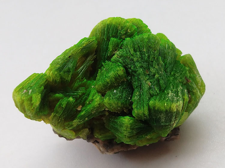 国内罕见的钙铀云母绿色云母大晶体原石矿物标本晶体矿石,钙铀云母