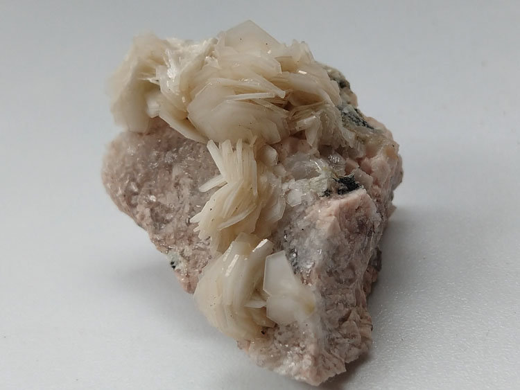 Flower like Calcite Orthoclase Microcline Feldspar Mineral Specimens Mineral Crystals Gem Materials,Calcite,Feldspar