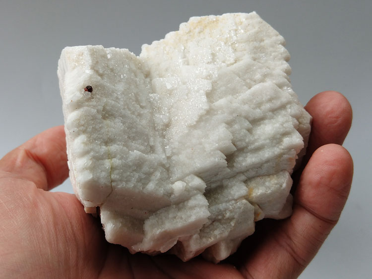 Albite wrapped plagioclase Microcline twin crystal Garnet Spessartine Spessartite Mineral Specimen,Feldspar,Garnet